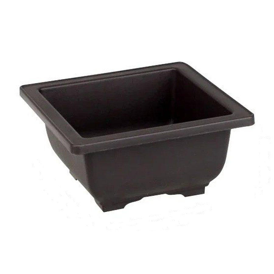 The Bonsai Training Pot