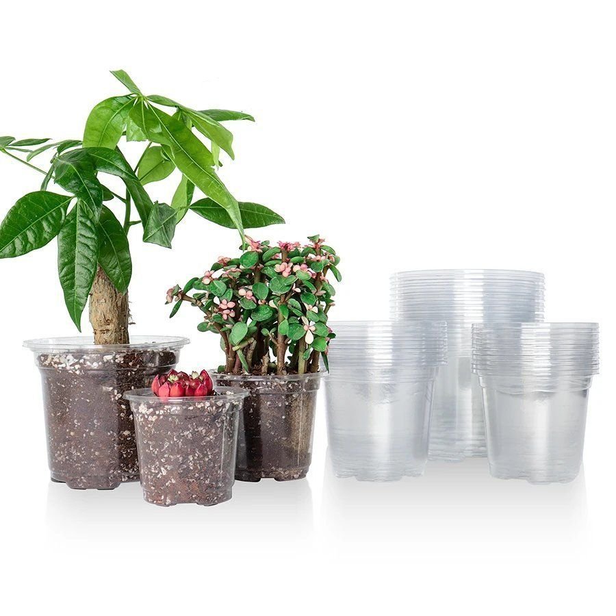 See-the-Roots Nursery Pots, Thirty Pack