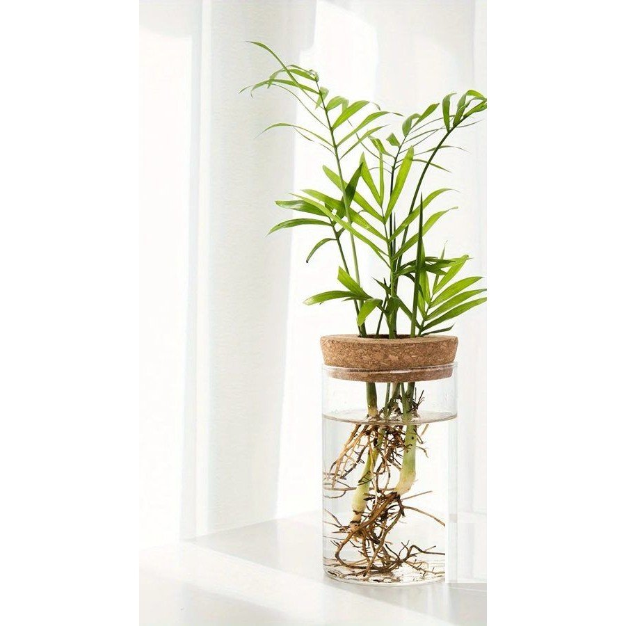 The Propagation Station Glass Planter