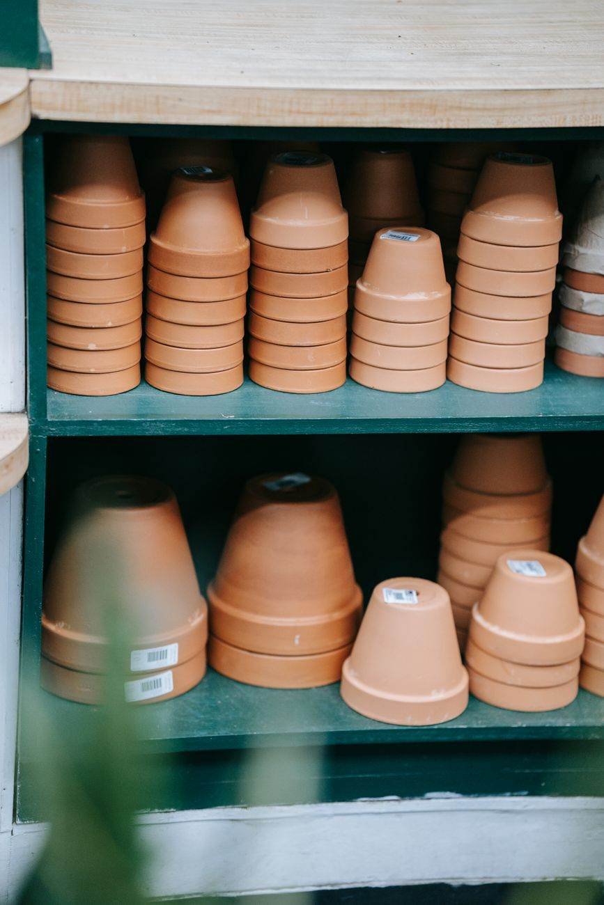 The Terracotta Half-Dozen