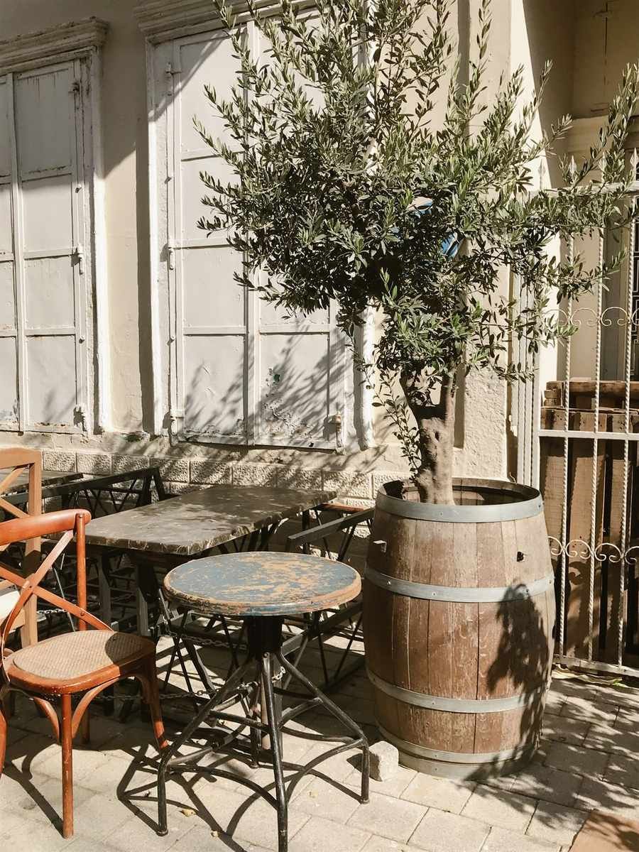 The Tree's Company
